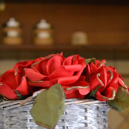 La Casa Di Emma *